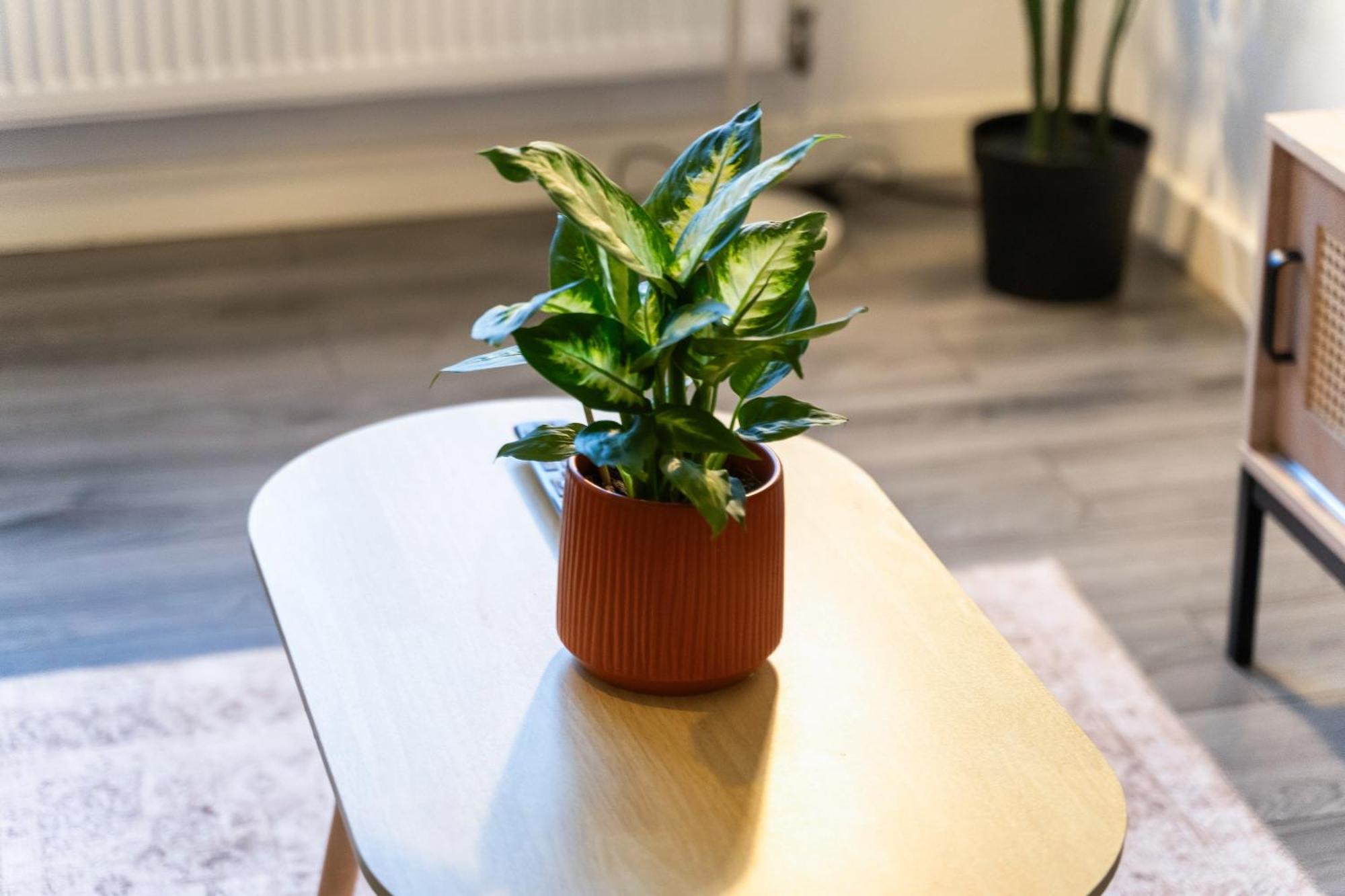 Stylish New Apartment - Free Wifi & Netflix - Top Rated - 3Mh Cradley Heath ภายนอก รูปภาพ